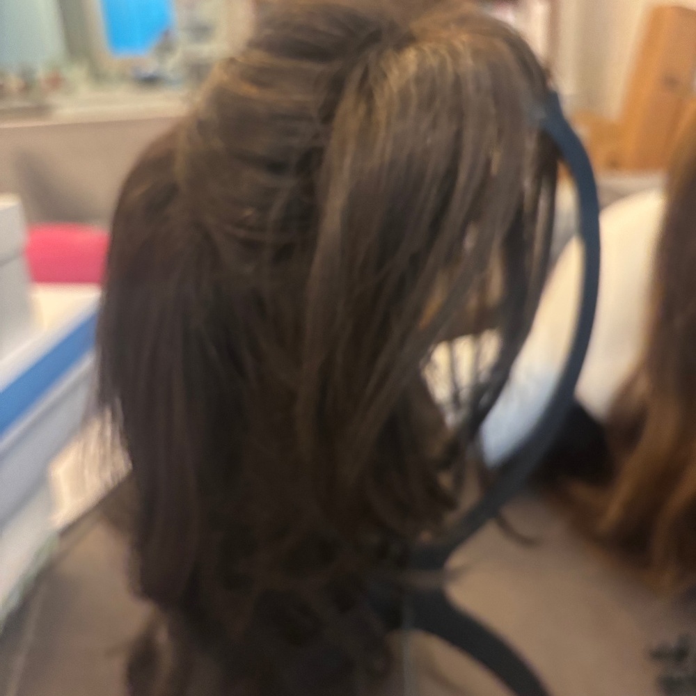 Paula Young Heidi Wig